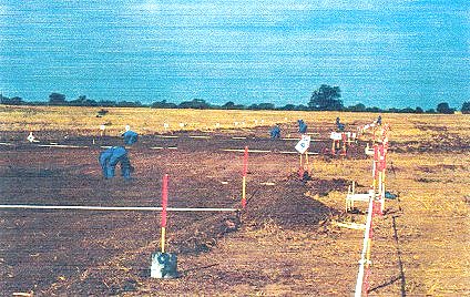 Hand deminers working in a field . General view
